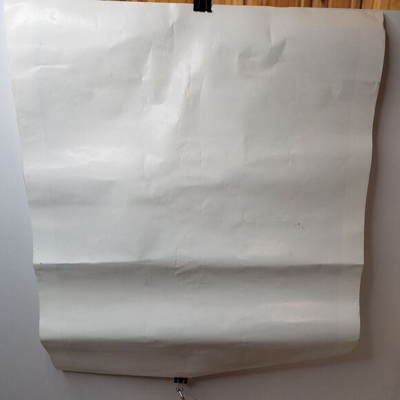 Nissan “Just Say No” Racing Poster • World's Fastest Clown • Signed Kids Promo - Picture 2 of 6